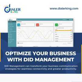 Optimize Your Business With DID Management, Bogo