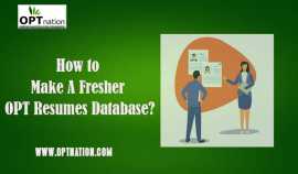 How to Make A Fresher OPT Resumes Database?, Houston