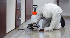 Buzz Boss: Expert Pest Control Services Near Me, Calgary