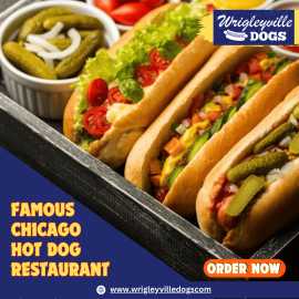 Famous chicago hot dog Restaurant:Wrigleyvilledogs, Chicago