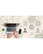 Protecting Your Intellectual Property: Strategies , Wilmington