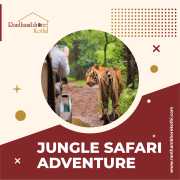 Jungle Safari In Ranthambore