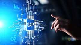 sap business one support consultant, Noida