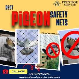 Pigeon Safety Nets in Bangalore with the Best Cost, Bengaluru