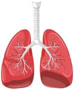 Strategies for Better Lungs Capacity Improvement, Jaipur