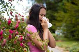 Complete Allergy Natural Treatment, Jaipur
