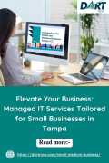 Managed IT Services Tailored for Small Businesses , Tampa