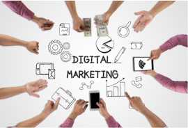 Digital Marketing Services Agency, Noida