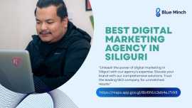 Comprehensive Digital Marketing Agency in Siliguri, Siliguri