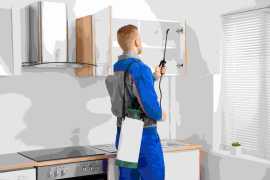 Reliable Pest Control in North Lakes | Magic Pest , North Lakes