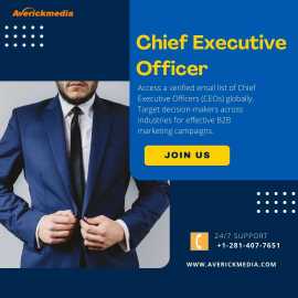 Buy the Validate CEO Email List, Houston