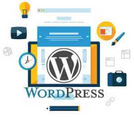  Custom Wordpress Development Service, New Delhi