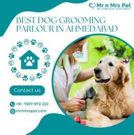 Best Dog Grooming Parlour in Ahmedabad, Ahmedabad