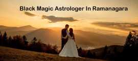 Black Magic Astrologer in Ramanagara , Bengaluru