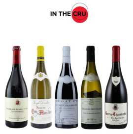 Choose the Top Rated Wines Florida | In The Cru, Miami