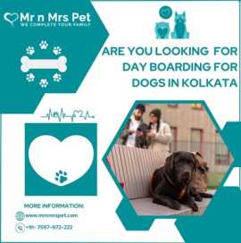 Are u Looking For Day Boarding For Dogs in Kolkata, Kolkata