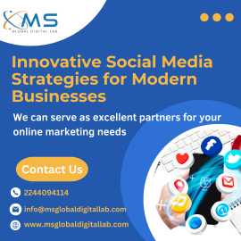 Innovative Social Media Strategies for Business, Chicago