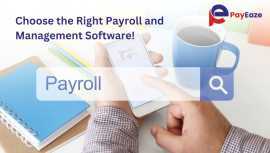 Best Payroll and Attendance Management Software, Mississauga