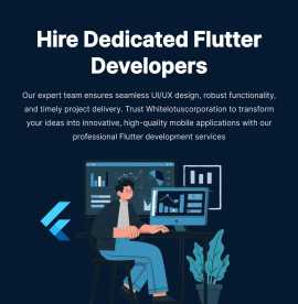 Hire Flutter Developers , Ahmedabad
