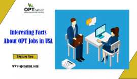 Interesting Facts About OPT Jobs in USA , New York
