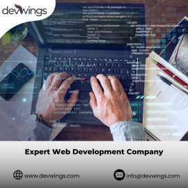 Expert Web Development Company | DevWings, Jaipur