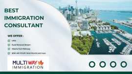 The best immigration consultants in Alberta, Edmonton