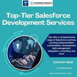 Top-Tier Salesforce Development Services, New Rochelle