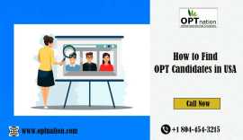 How to Find OPT Candidates in The USA , New York