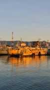 Explore Exciting Marine Jobs in Saudi Arabia!, Riyadh