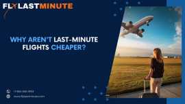 Why aren’t Last-Minute Flights Cheaper?, Boston