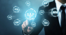 SAP Managed Services in India, Noida