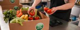 How to Obtain a Vegetables and Fruit Business Lice, Dubai