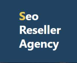 White Label SEO Audit Service, New York