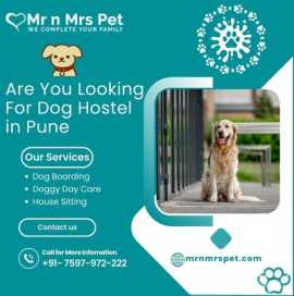 Are you Looking for Dog Hostel in Pune, Pune