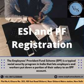 Best PF Esi Consultants In Delhi, Delhi