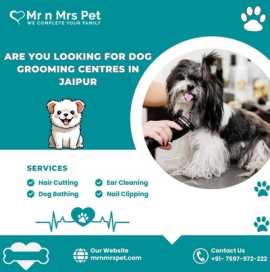 Best Dog Grooming Centres in Jaipur, Jaipur
