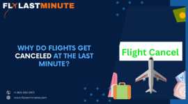 Why do Flights Get Canceled at the Last Minute?, Bolton