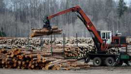 US Softwood Export Council Funding Shapes Global, Taby
