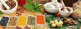 Achieve Wellness and Tranquillity on an India Yoga, Melbourne