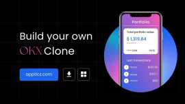 Cost of OKX clone script, New York