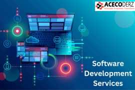 Expert Software Development Services, Lucknow