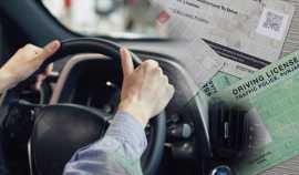 Certified Driving License Translation Services, Dubai