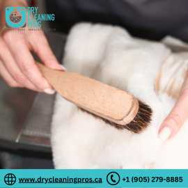 Carpet Cleaning Services Mississauga|Dry Cleaning , Mississauga