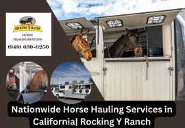 Reliable Nationwide Horse Transportation, Joshua Tree
