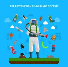 Quick and Reliable 24/7 Pest Control Services, Phoenix