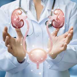 Fostr Healthcare: Urologist Specialist , Bengaluru