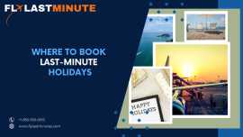 Where to Book Last-Minute Holidays Flight