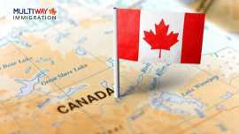 How an Immigration Consultant in Edmonton Can Help, Edmonton