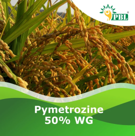 Pymetrozine 50% WG| Peptech Biosciences | Manufact, New Delhi