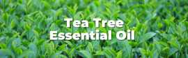 Tea Tree Oil, ps 1